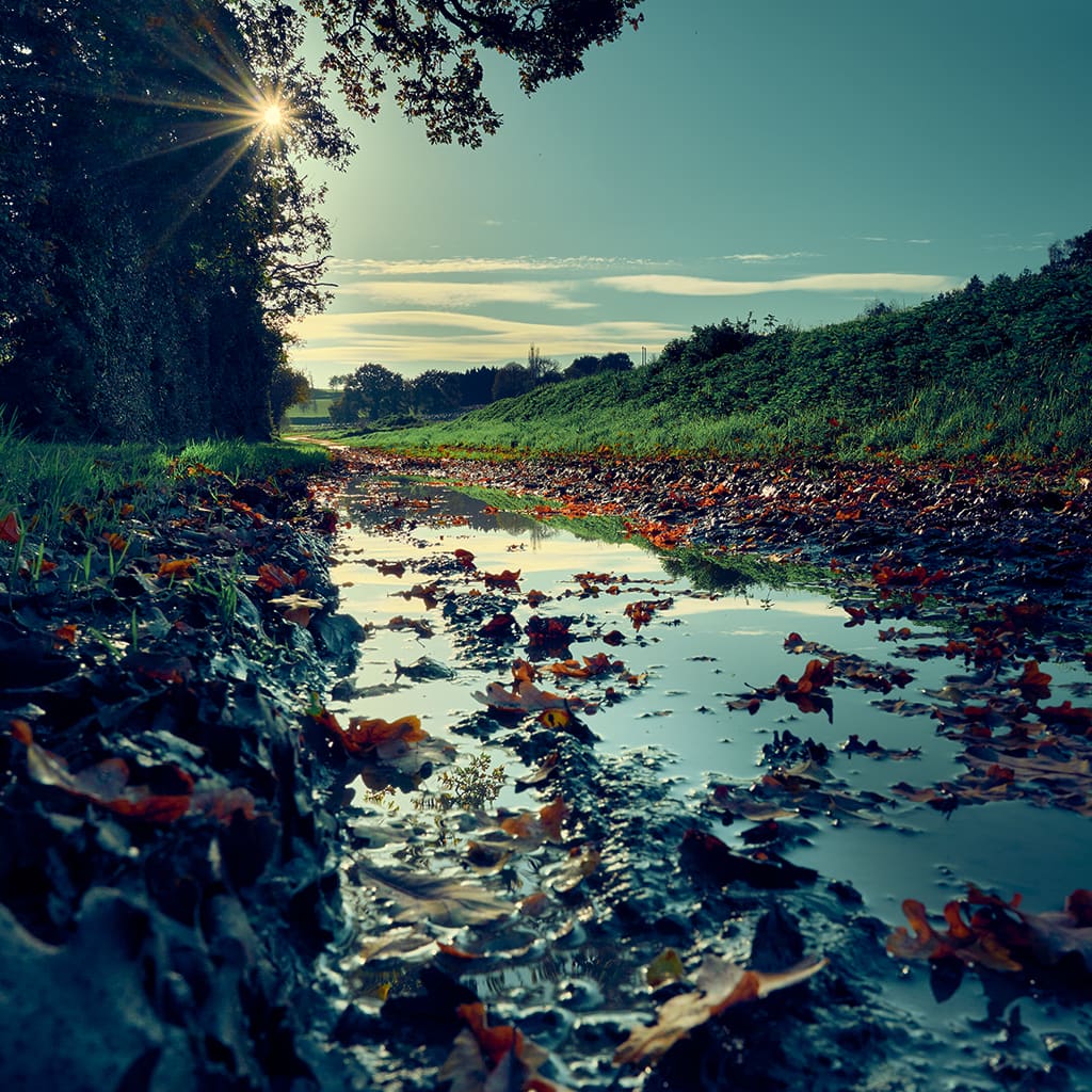 la-campagne-melorienne-sous-le-soleil-1