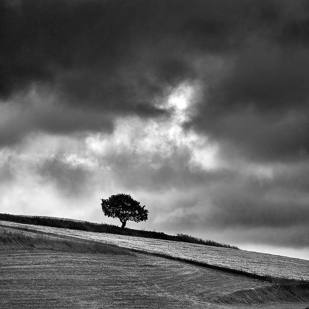 Au-quotidien-enel-rehel-photographie-8