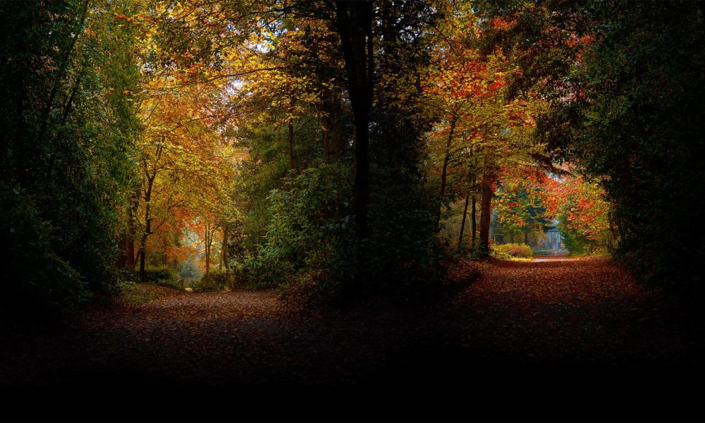 Le Parc de la Briantais – Novembre 2021