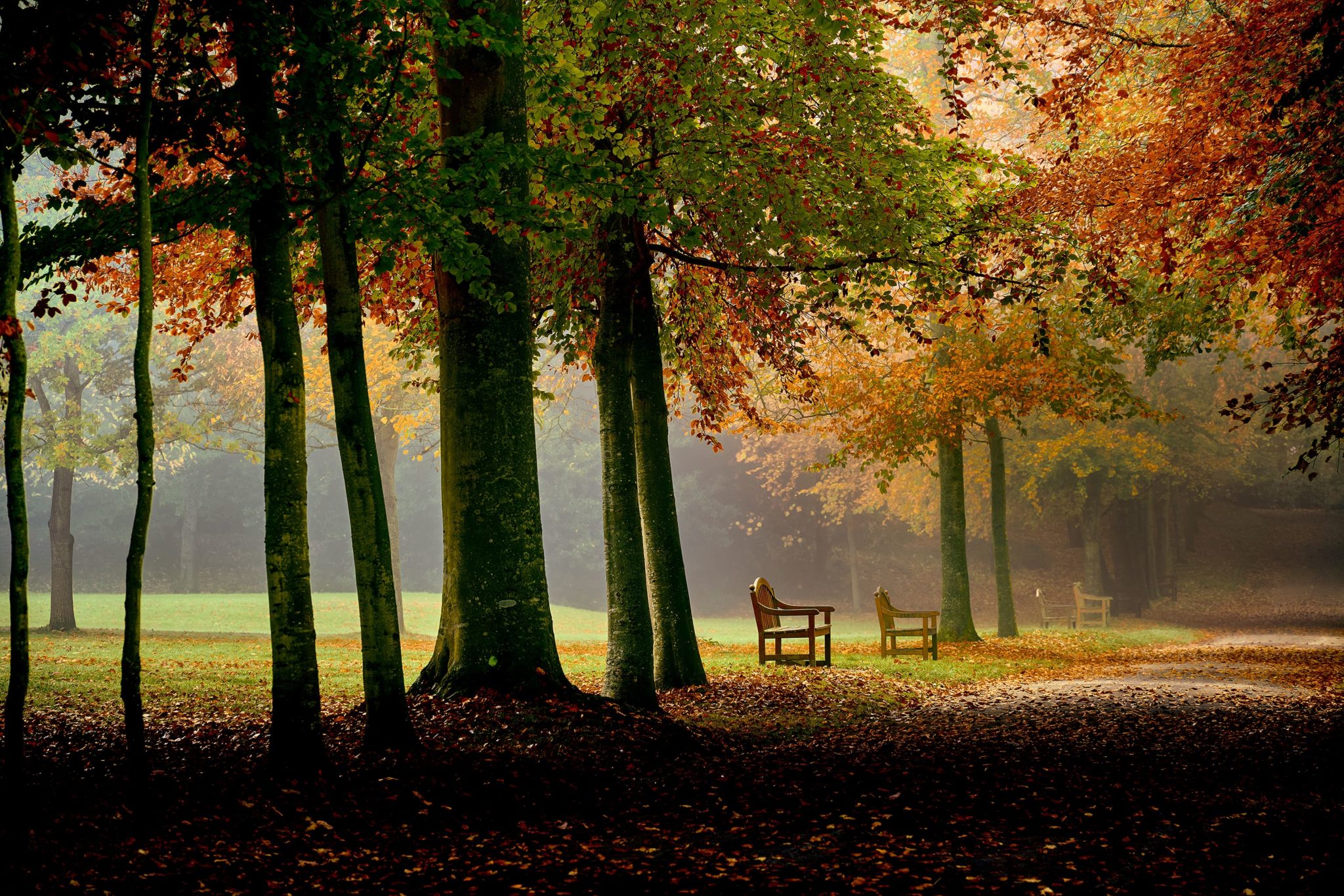 Le Parc de la Briantais - Novembre 2021-2