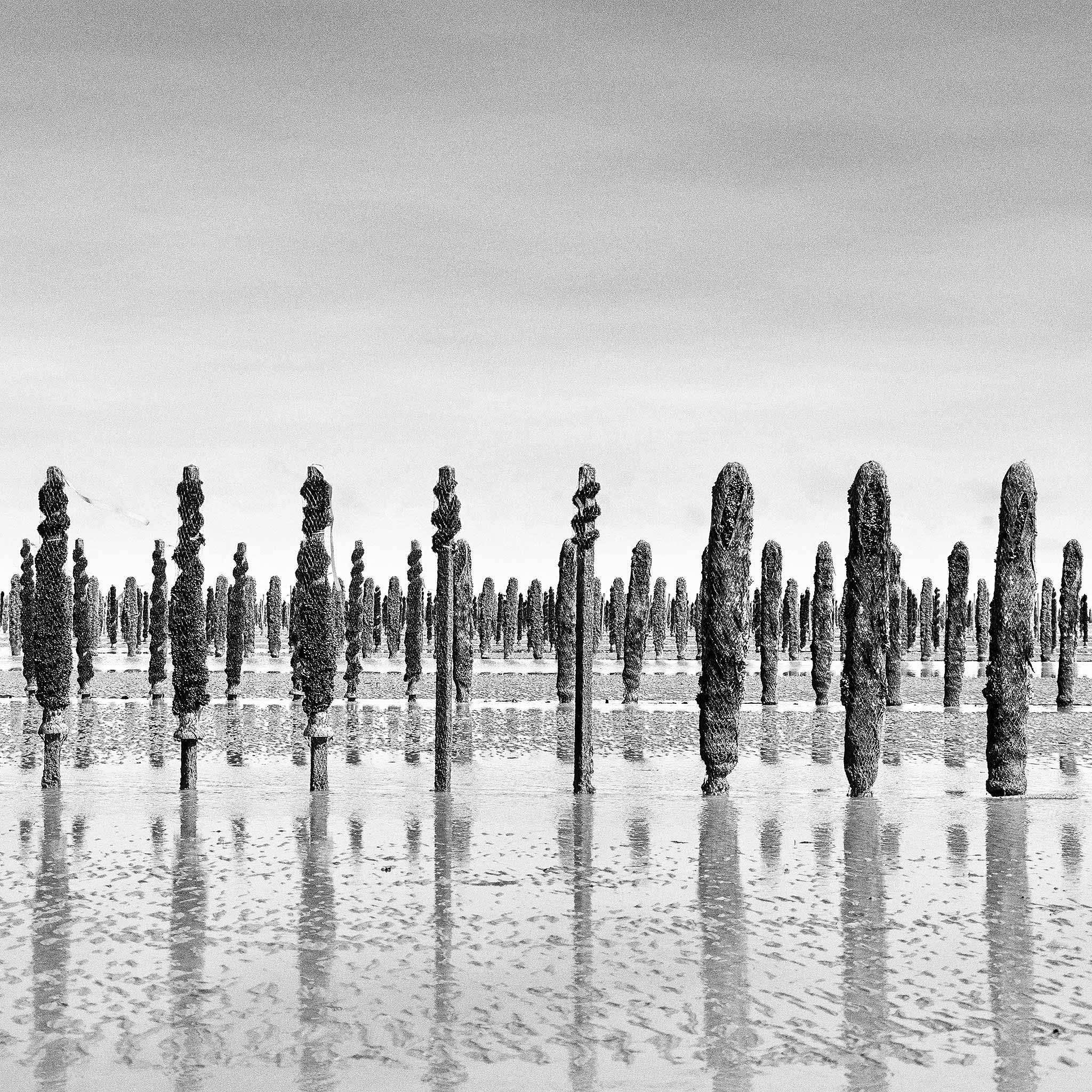 Dans la baie du Mont-Saint-Michel-Étude-11