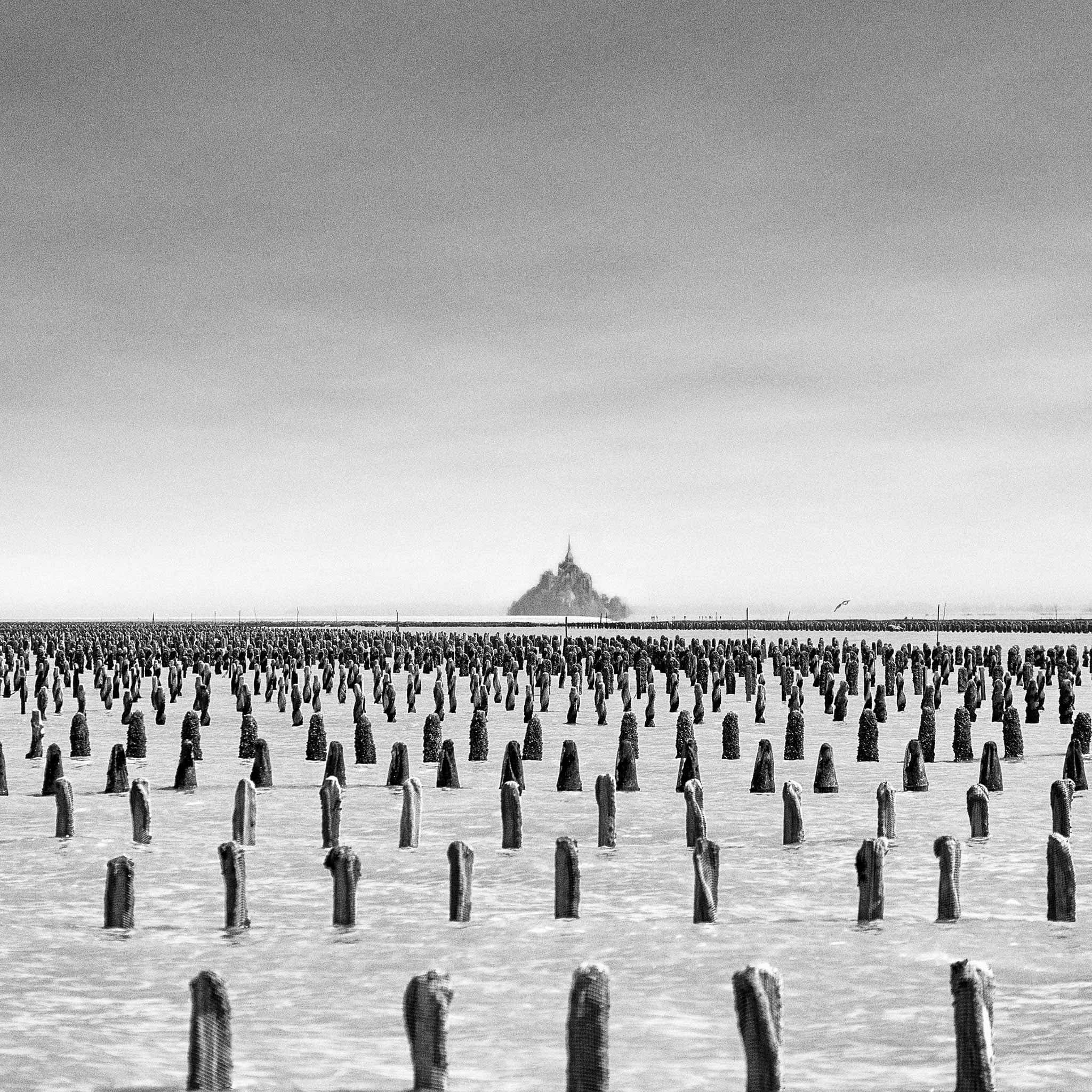 Dans la baie du Mont-Saint-Michel-2