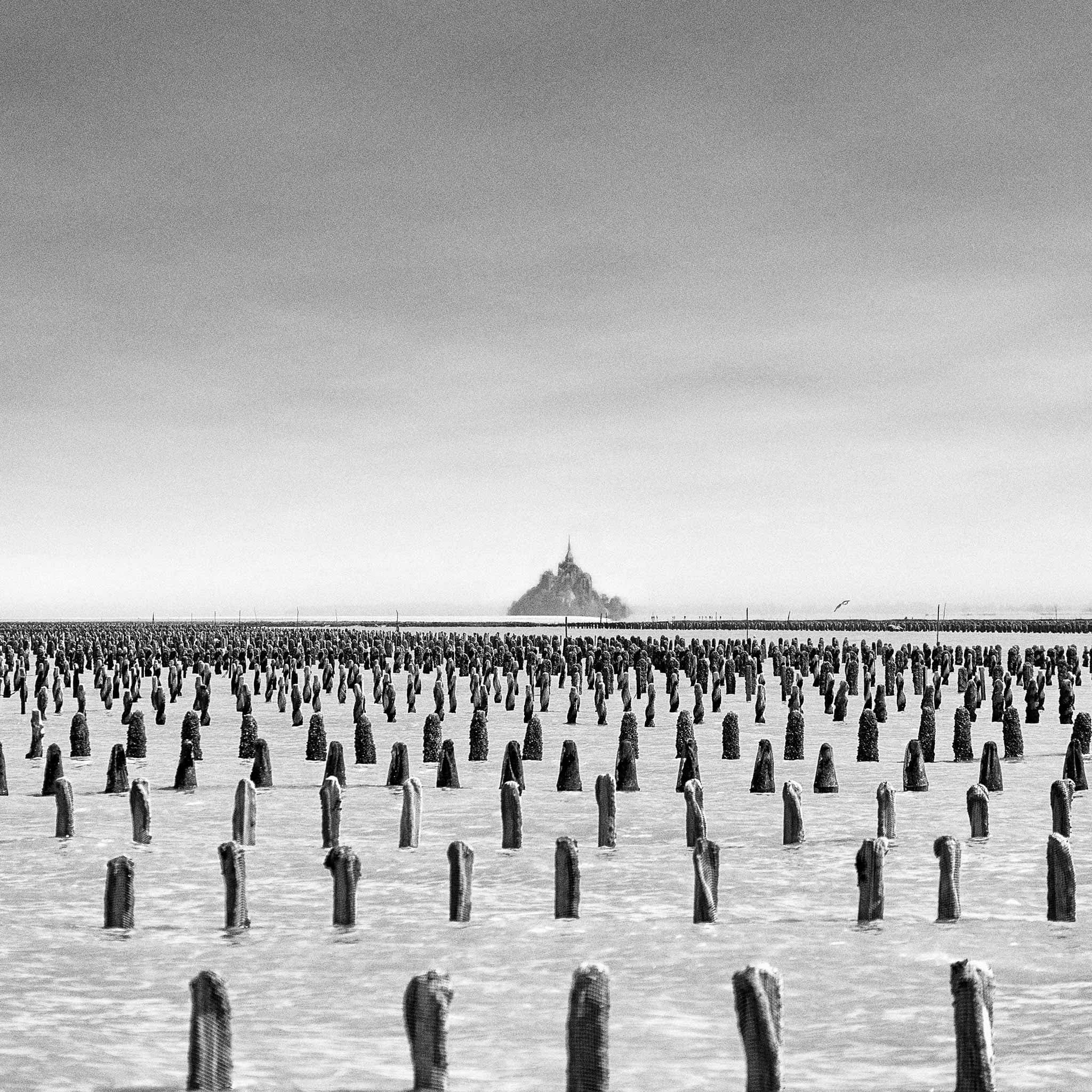Dans la baie du Mont-Saint-Michel-Étude-2