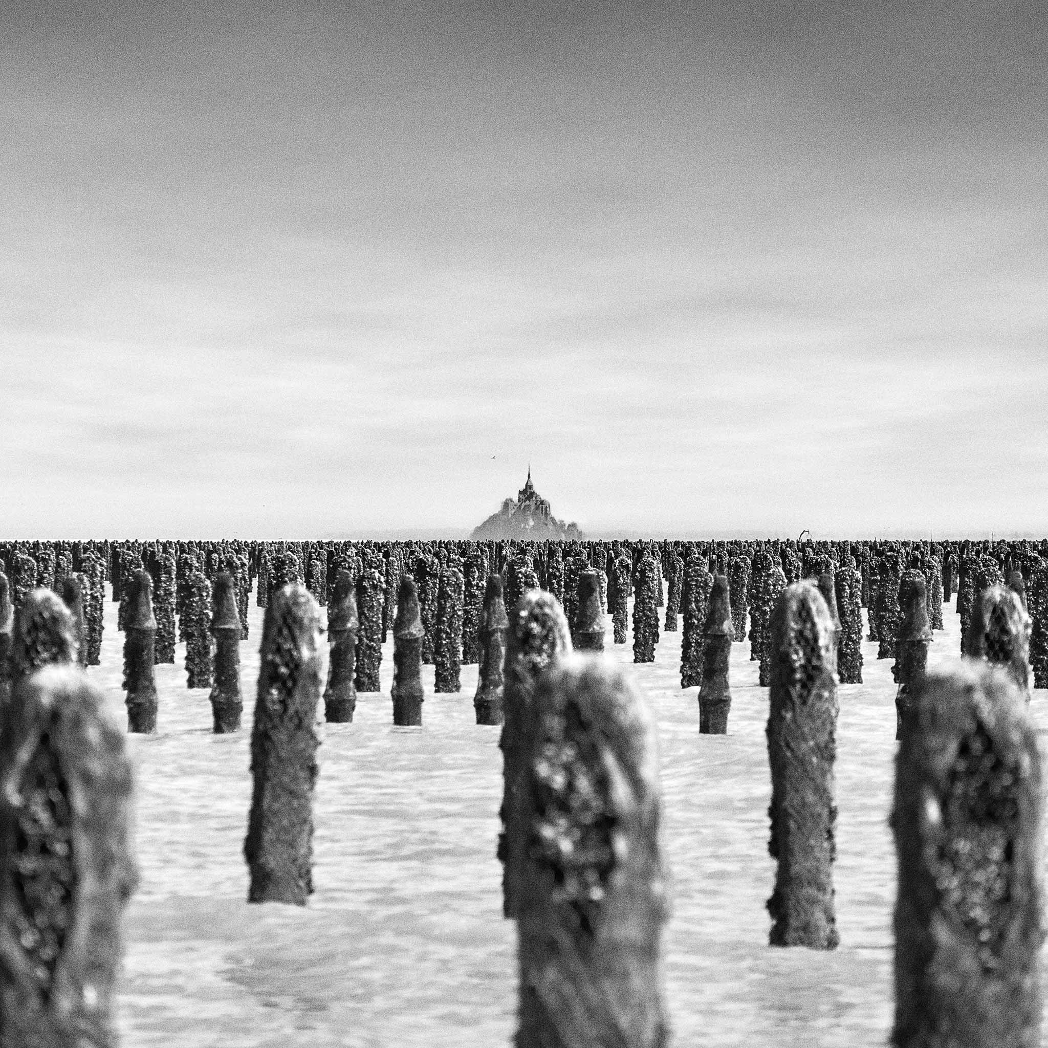 Dans la baie du Mont-Saint-Michel-Étude-4
