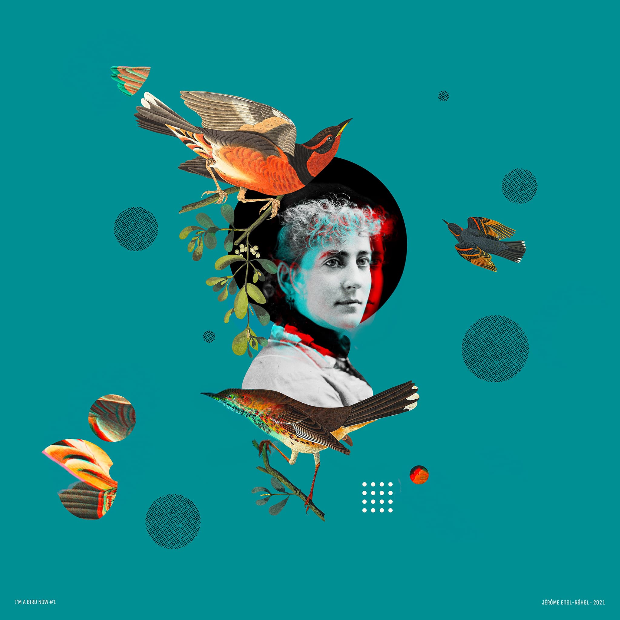 I'm a bird now - Étude 1