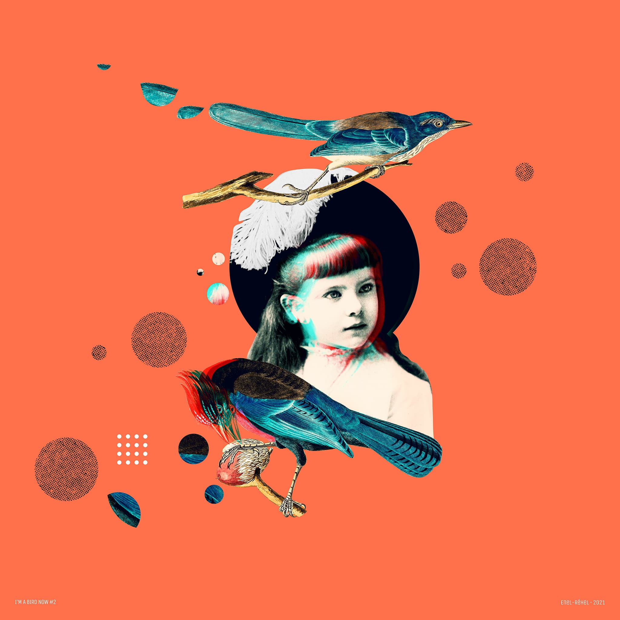 I'm a bird now - Étude 2