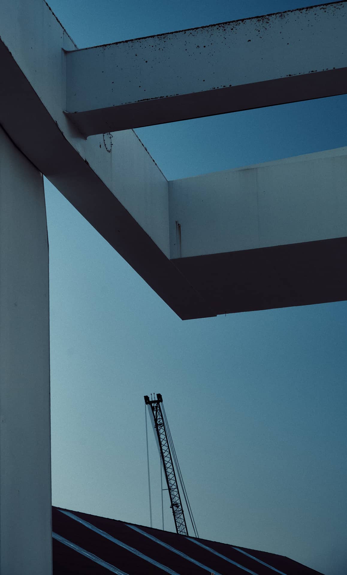 Une grue à l'horizon ©Jérôme Enel-Réhel - Novembre 2024