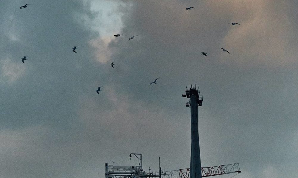 Boat and birds –  Décembre 2024