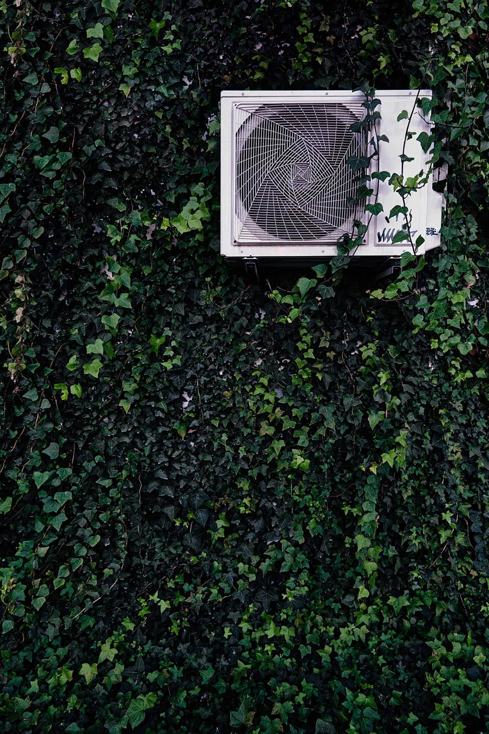 🌱 La nature reprend toujours ses droits [3] - 1  ©Jérôme Enel-Réhel - Janvier 2025
