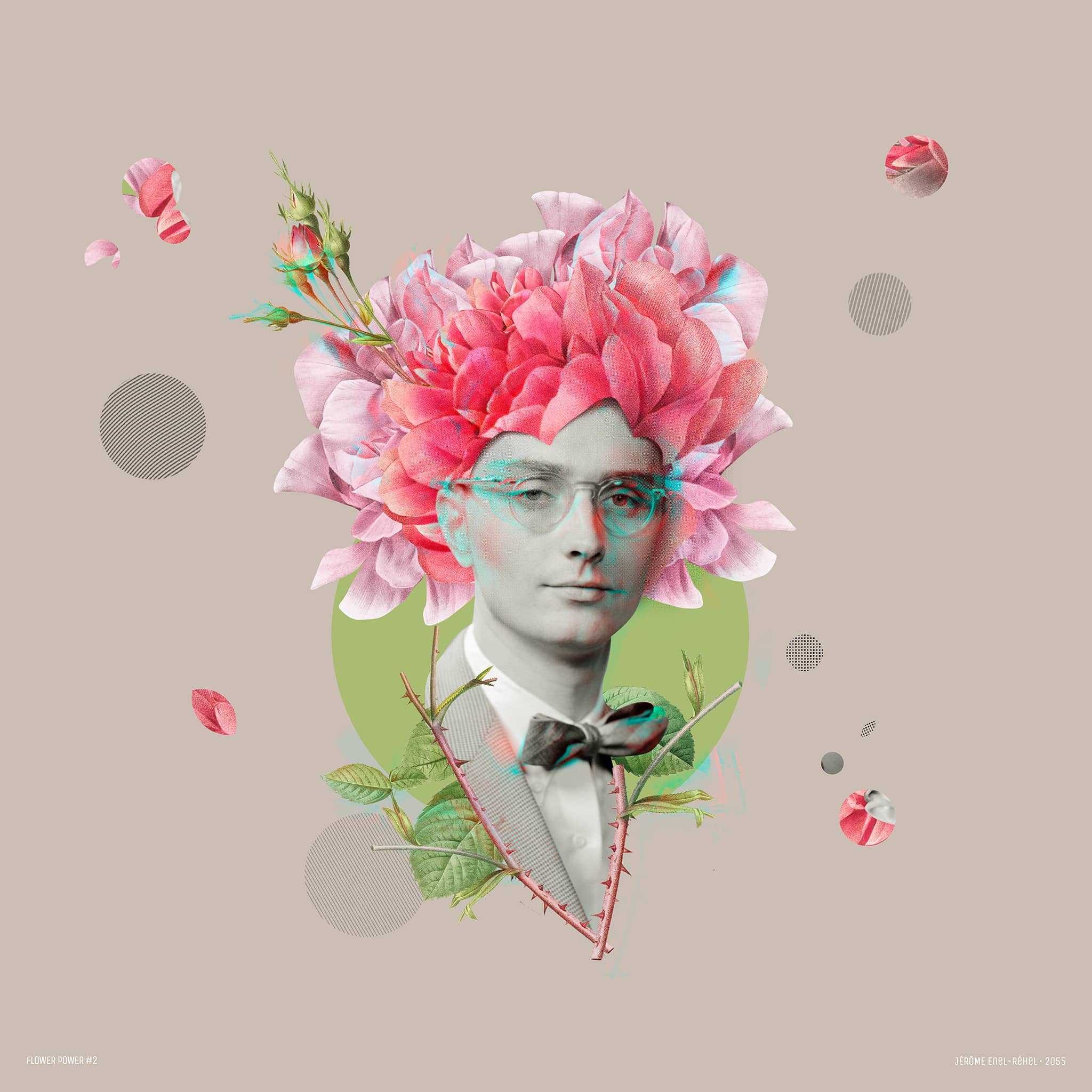 Flower Power - Étude 2